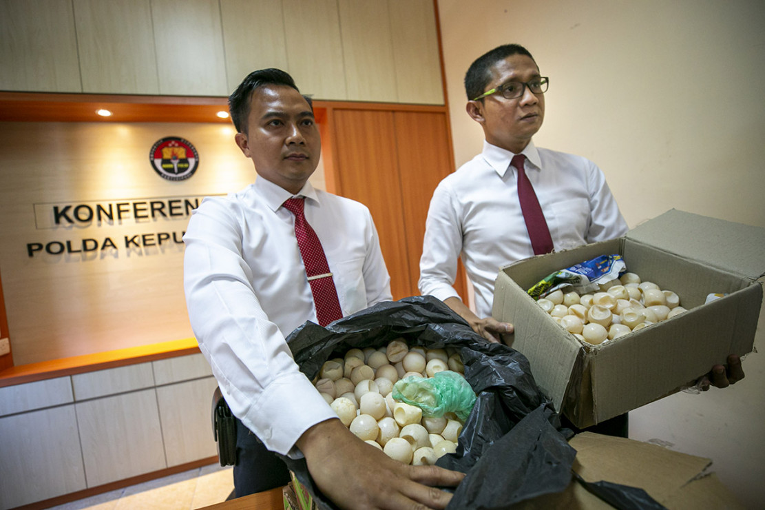 Polda Kepri Gagalkan Perdagangan 1.000 Telur Penyu Ilegal ...
