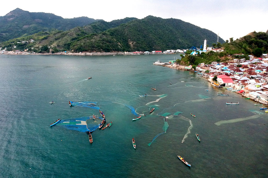 Setelah enam bulan tidak muncul, ikan nike kini kembali berkembang biak dan dijual dengan harga Rp20 ribu per satu kaleng kecil.