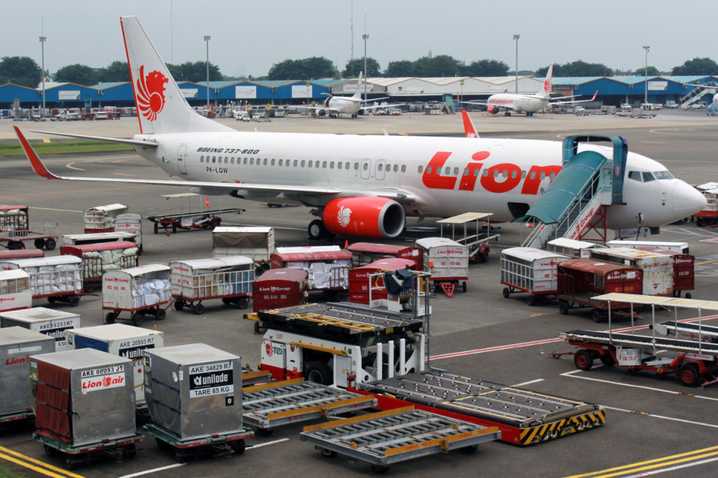 Lion Air Group yang terdiri dari Batik Air, Lion Air dan Wings Air dengan perizinan khusus (exemption flight) dari Kementerian Perhubungan akan kembali melayani penerbangan domestik yang rencananya dimulai pada hari Minggu, 3 Mei 2020, untuk melayani pebisnis, angkutan kargo, perjalanann bagi pemimpin lembaga tinggi negara RI, serta tamu negara.