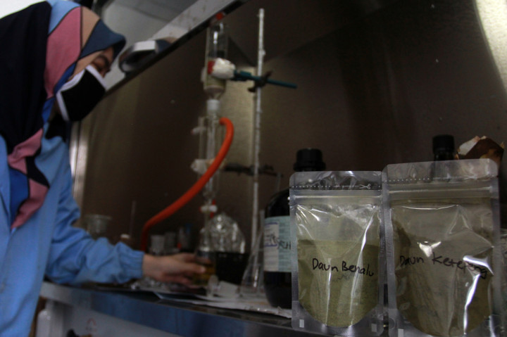 Para peneliti dari LIPI berhasil mengembangkan ramuan tanaman herbal daun Ketepeng dan benalu bermarga dendroptoe sebagai obat penyembuhan Covid-19 dan penghambatan pertumbuhan virus korona, hingga saat ini penemuan tersebut masih dalam proses penelitian dan uji lab yang tidak lama lagi akan dilakukan uji coba penggunaan. 