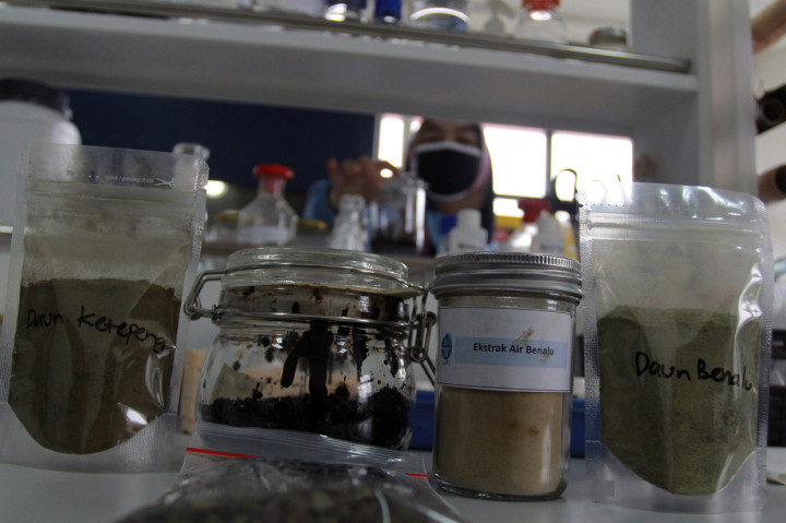 Seorang peniliti dari Lembaga Ilmu Pengetahuan Indonesia (LIPI) melakukan uji Lab penemuan obat herbal untuk penyembuhan Covid-19 dan penghambatan pertumbuhan virus corona di Lab Cara Pembuatan Obat Tradisional Baik (CPOTB) Pusat Penelitian Kimia LIPI, Serpong, Tangerang Selatan, Banten.