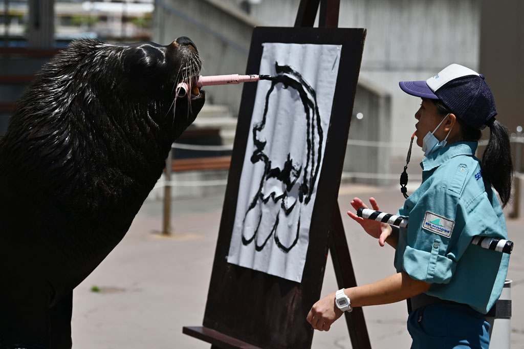 Amabie adalah monster mitos yang telah menjadi maskot di Jepang dengan harapan untuk mengakhiri wabah virus korona jenis baru (covid-19).