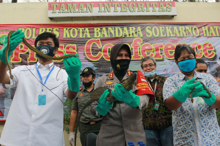 Wakapolres Bandara Soekarno Hatta AKBP Yessi Kurniati (tengah) didampingi Kanit Reskrim Kompol Ahmad Alexander (kiri) dan Kepala Balai Konservasi Sumber Daya Alam (BKSDA) Jakarta Karyadi menunjukkan barang bukti reptil langka yang berhasil diamankan di Mapolres Bandara Soekarno Hatta, Tangerang, Banten, Jumat, 5 Juni 2020. 
