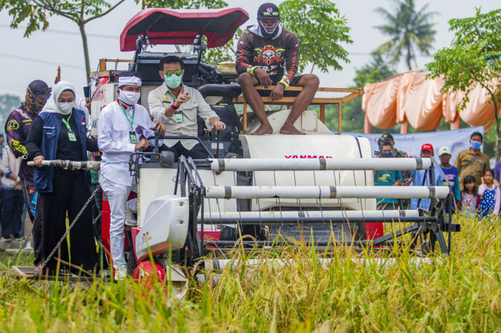 Menteri Pertanian Syahrul Yasin Limpo (kedua kanan) didampingi Wakil Ketua Komisi IV DPR RI Dedi Mulyadi (kedua kiri), Bupati Karawang Cellica Nurrachadiana (kiri) bersama perwakilan petani memanen padi menggunakan mesin panen (Combine Harvester) saat kunjungan kerja di Desa Bayurlor, Cilamaya, Karawang, Jawa Barat, Sabtu, 6 Juni 2020. 