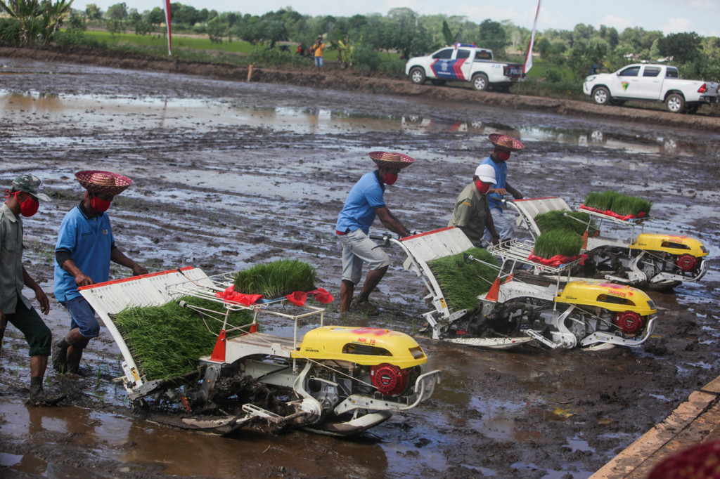Dalam kunjungannya Mentan Syahrul Yasin Limpo menegaskan ingin mewujudkan pertanian yang modern di Pulang Pisau dan di daerah Provinsi Kalimantan Tengah lainnya, dan akan memanfaatkan bekas proyek lahan gambut untuk dikembangkan menjadi lahan pertanian. 
