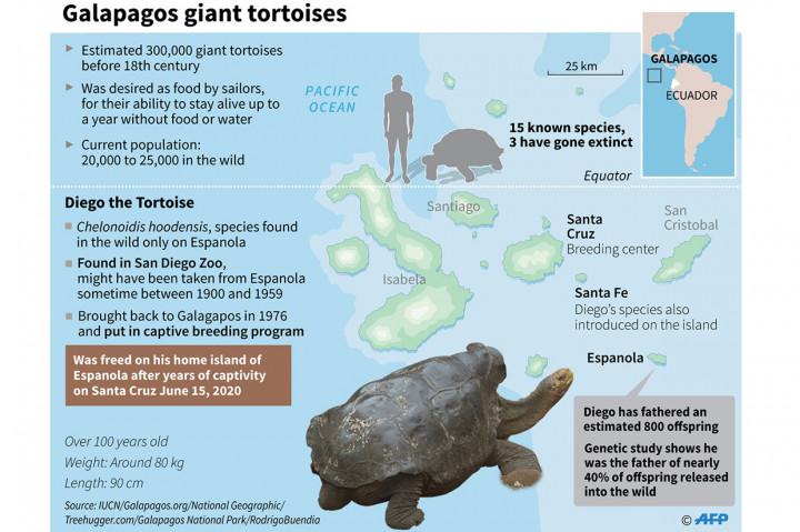 Kontribusi Diego untuk program pemuliaan di Pulau Santa Cruz sangat penting, dan setidaknya sekitar 40 persen dari total populasi sebanyak 2 ribu kura-kura di sana merupakan keturunannya.
