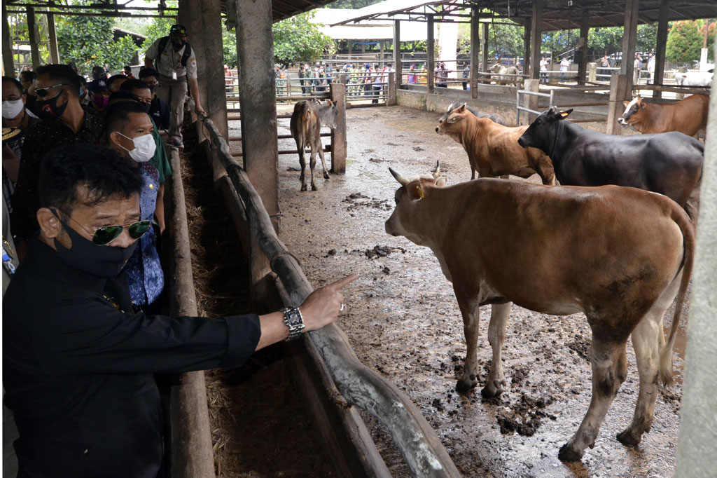Menteri Pertanian Syahrul Yasin Limpo menyebutkan Provinsi Lampung sangat potensial untuk dikembangkan menjadi contoh pertanian di Indonesia. 