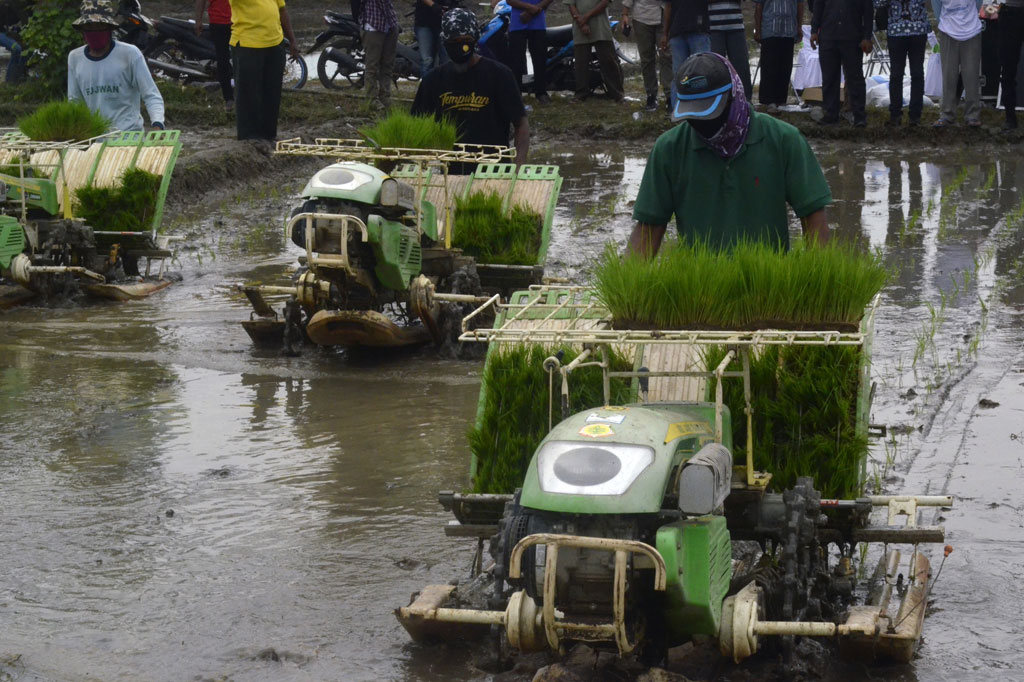 Selain itu, katanya, Provinsi Lampung juga bagus untuk pengembangan peternakan sapi. Pasalnya Lampung sangat dekat dengan Ibu Kota Jakarta, yang membuat pasokan daging akan bisa terserap.