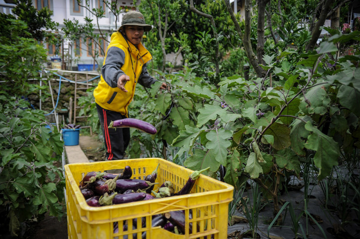 Ponpes yang memiliki 126 produk pertanian dan peternakan tersebut menjadi pesantren percontohan di bidang peternakan dan pertanian untuk program 