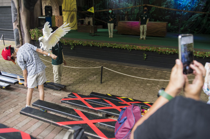 Pengunjung melihat atraksi satwa di Kebun Binatang Bandung (Bandung Zoological Garden), Bandung, Jawa Barat, Sabtu, 27 Juni 2020.