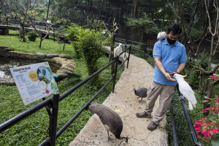 Humas Bazoga, Sulhan Syafi'i mengatakan hingga siang hari, tercatat hanya ada sekitar 175 pengunjung yang datang ke destinasi wisata itu. 