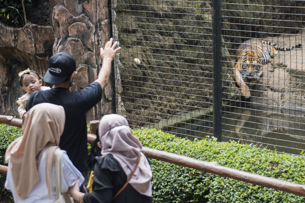 Biasanya, kata dia, pada akhir pekan Bazoga bisa menerima hingga lebih dari 6.000 pengunjung dalam satu hari. Namun kini di loket masuk pun tidak terjadi antrean pengunjung.