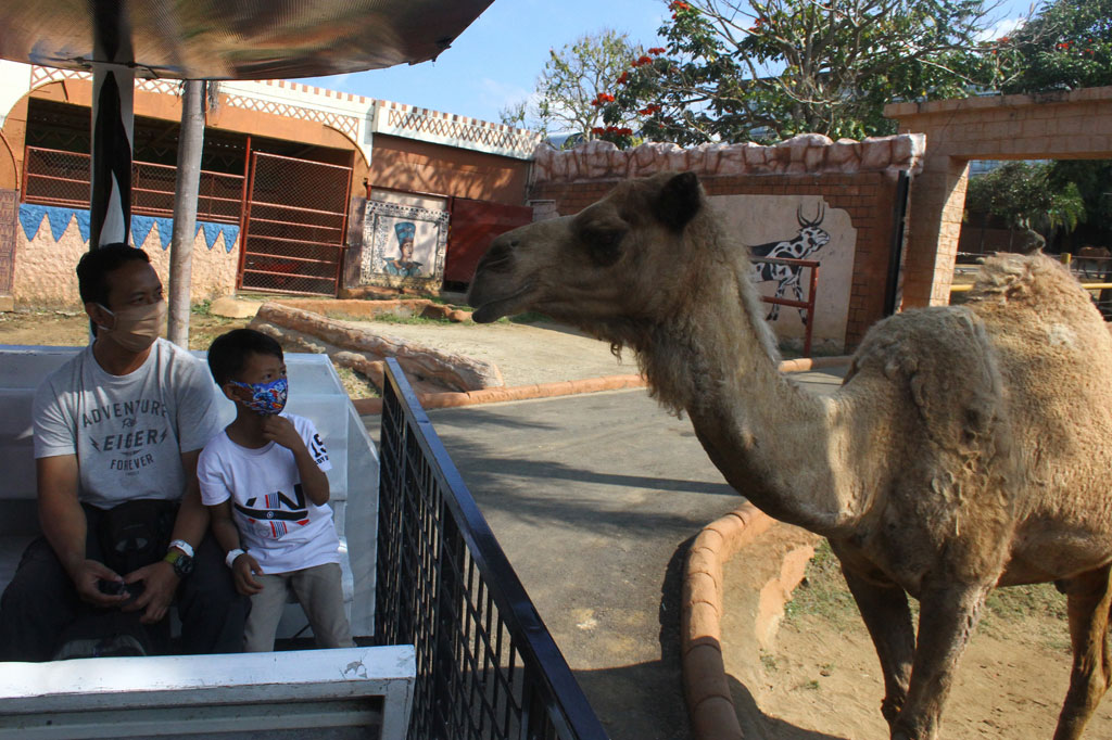 Selain memberlakukan protokol kesehatan yang ketat bagi karyawan dan pengunjung, pihak pengelola tempat wisata tersebut juga menerapkan pemesanan tiket daring guna membatasi jumlah pengunjung dari enam ribu orang menjadi tiga ribu orang per hari. 
