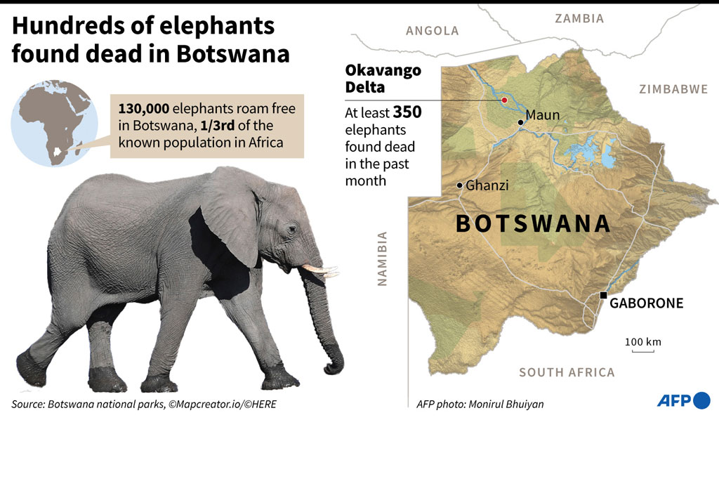 Botswana merupakan rumah bagi sepertiga populasi gajah di Afrika, namun kerap dianggap sebagai gangguan bagi para petani karena kebun mereka kerap dirusak oleh hewan tersebut.