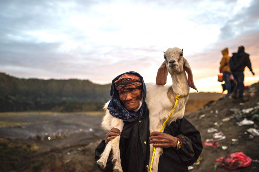 Masyarakat Suku Tengger membawa kambing yang akan dilarung ke kawah Gunung Bromo dalam rangka perayaan Yadnya Kasada, Probolinggo, Jawa Timur. AFP Photo/Juni Kriswanto
