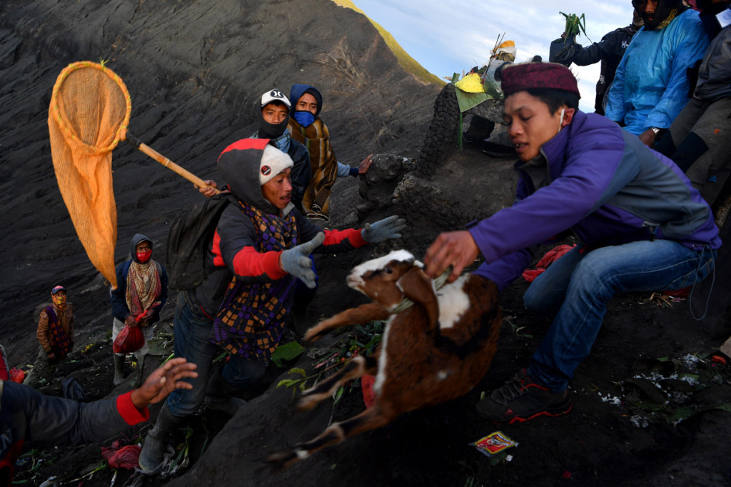 Masyarakat Suku Tengger melarung kambing ke kawah Gunung Bromo dalam rangka perayaan Yadnya Kasada, Probolinggo, Jawa Timur. ANTARA Foto/Zabur Karuru