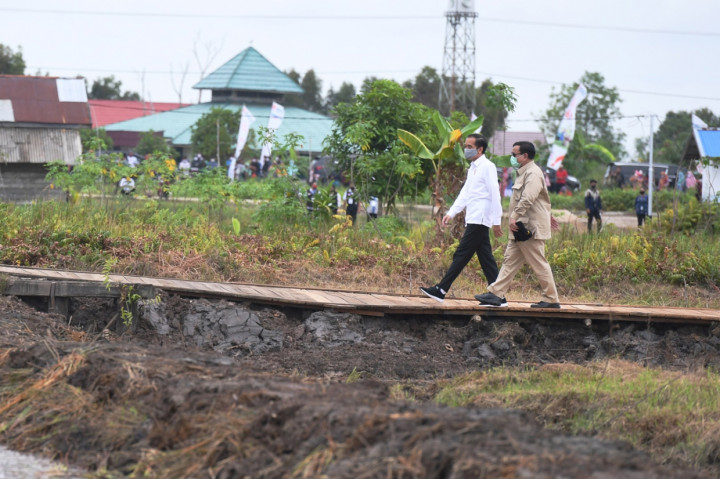 Presiden Joko Widodo (Jokowi) melakukan kunjungan kerja ke Kalimantan Tengah, untuk meninjau Food Estate dan posko penanganan virus korona (Covid-19).