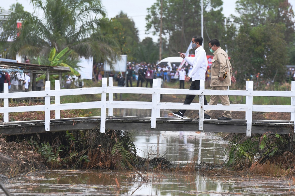 Presiden Joko Widodo (kiri) didampingi Menteri Pertahanan Prabowo Subianto meninjau lahan yang akan dijadikan Food Estate atau lumbung pangan baru di Kapuas, Kalimantan Tengah.