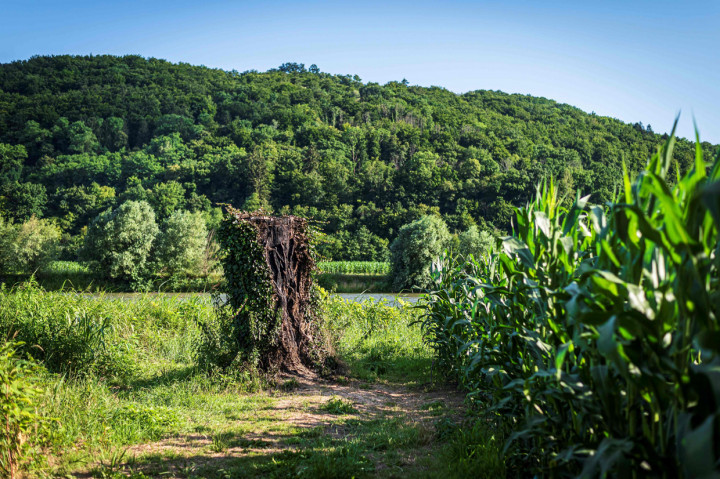 Patung itu merupakan karya Ales Zupevc, seniman setempat yang mengukirnya langsung dari batang pohon linden yang masih hidup.