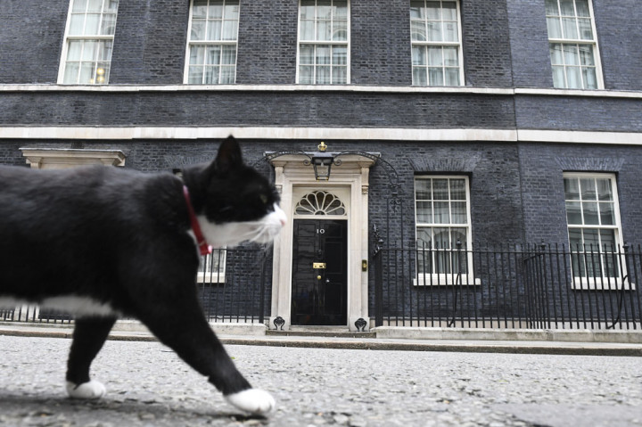 Dalam cuitan di Twitter yang punya lebih dari 100.000 pengikut, seekor kucing hitam putih itu mengatakan dia ingin menghabiskan waktu untuk bersantai, jauh dari sorotan publik.