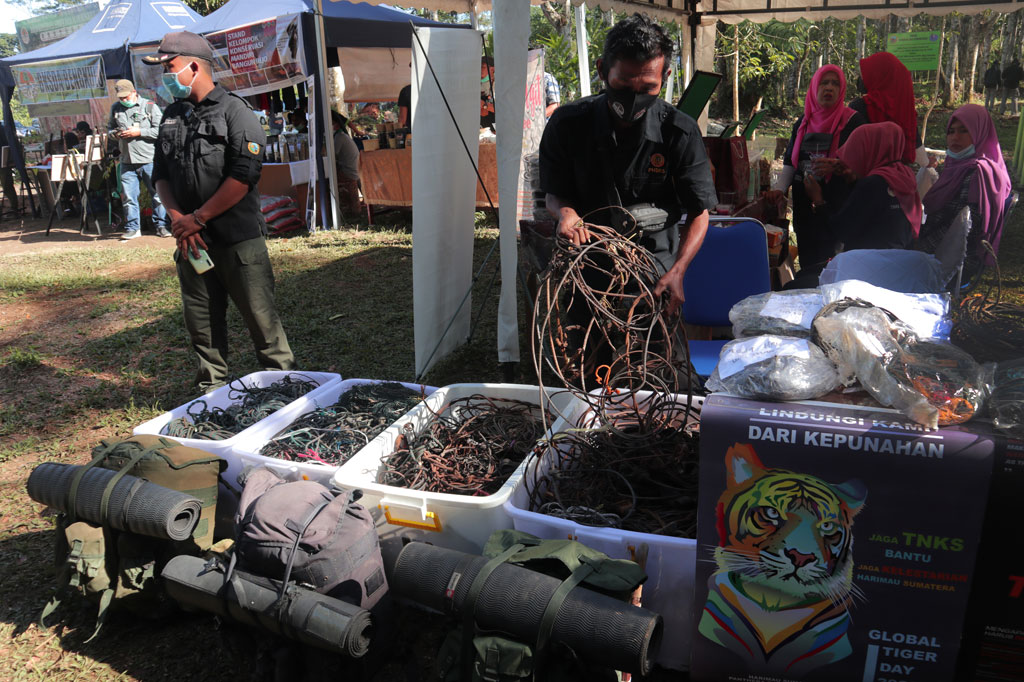 Selama periode 2012 hingga 2019, Tim Patroli Harimau Sumatera - Kerinci Seblat berhasil membersihkan 2846 jerat yang terdiri atas jerat seling dan nilon dalam patroli pelestarian di hutan TNKS (Taman Nasional Kerinci Seblat).