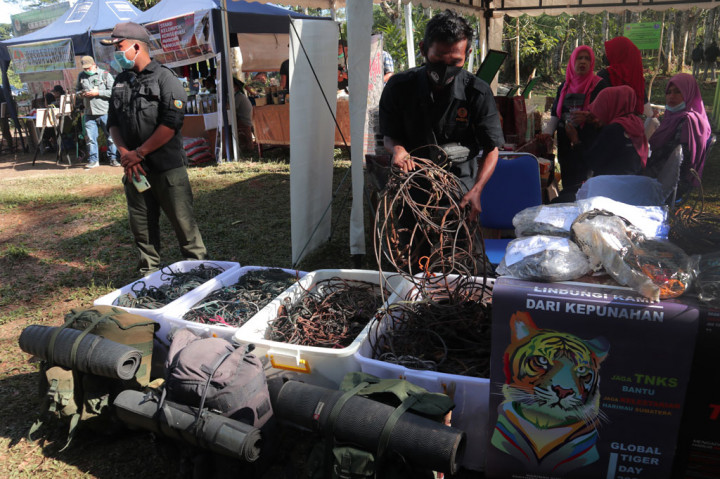 Selama periode 2012 hingga 2019, Tim Patroli Harimau Sumatera - Kerinci Seblat berhasil membersihkan 2846 jerat yang terdiri atas jerat seling dan nilon dalam patroli pelestarian di hutan TNKS (Taman Nasional Kerinci Seblat).