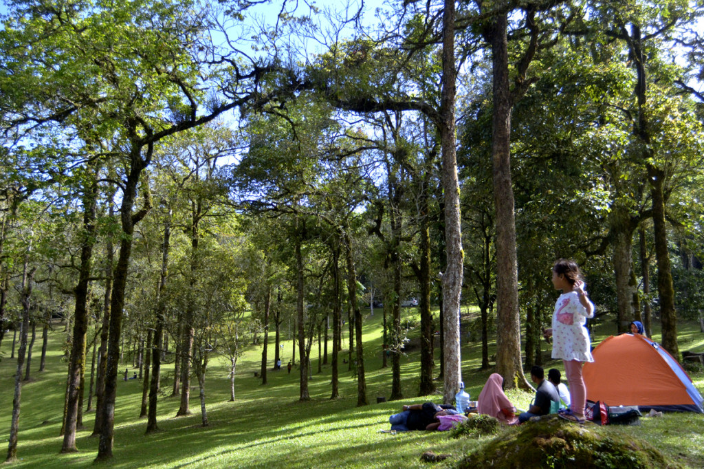 Kebun Raya Bali dipadati oleh ribuan pengunjung yang didominasi masyarakat lokal Bali yang berwisata memanfaatkan hari terakhir libur panjang akhir pekan.