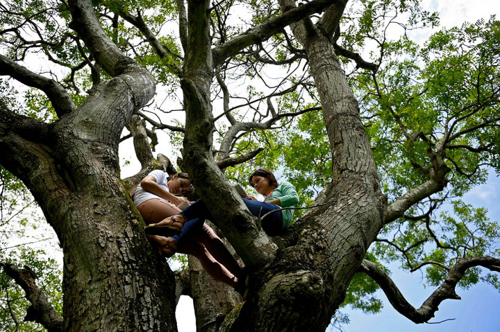 Kisah menyentuh mereka terungkap ketika petugas polisi Castro Ruiz menemukan Matilde saat berpatroli di Gunung El Tigre.