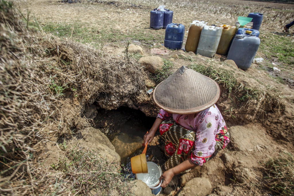 Warga mengambil air di mata air yang berada di area persawahan Desa Weninggalih, Jonggol, Kabupaten Bogor, Jawa Barat. 
