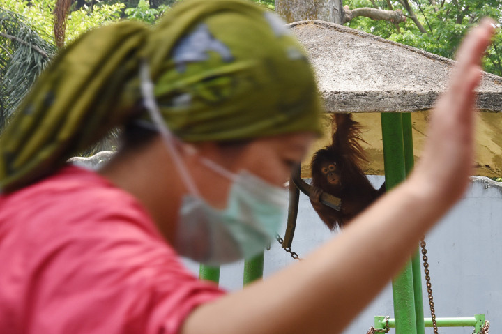 Tamansatwa Ragunan kembali ditutup untuk pengunjung mulai 14 September 2020 seiring rencana pemberlakuan Pembatasan Sosial Berskala Besar (PSBB) total oleh Pemerintah Provinsi DKI Jakarta. 