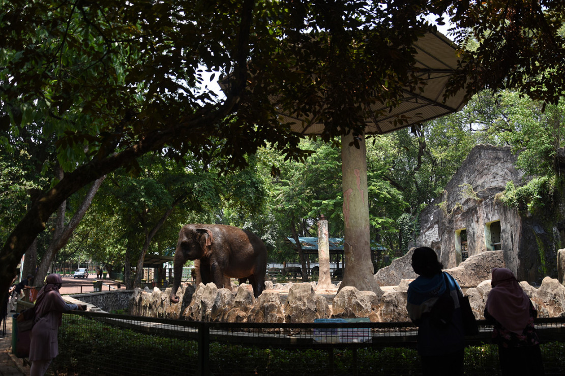 Taman Margasatwa Ragunan Kembali Ditutup