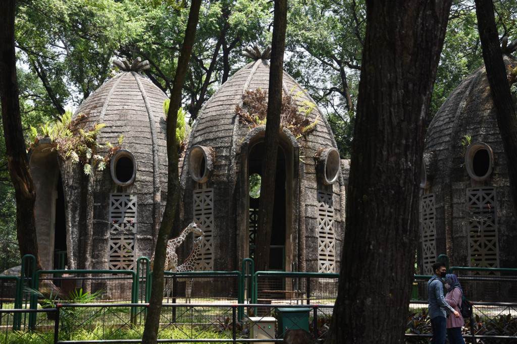 Warga melihat satwa saat berkunjung di Taman Margasatwa Ragunan, Jakarta. 
