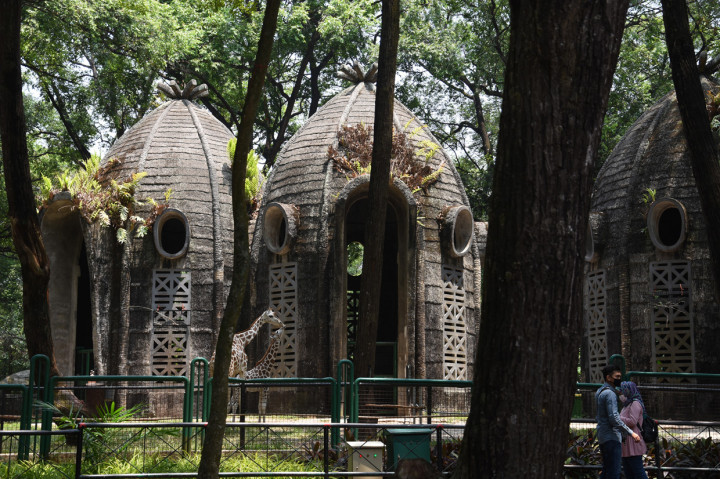 Warga melihat satwa saat berkunjung di Taman Margasatwa Ragunan, Jakarta. 
