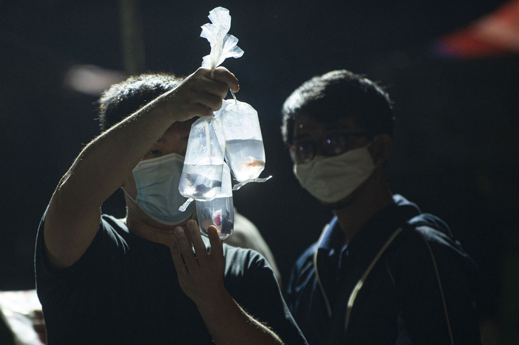 Malam semakin larut, hari pun telah berganti. Namun, kerumunan orang semakin ramai dan padat. Jangankan dinginnya malam, momok kasus penularan covid-19 yang terus meningkat di Ibukota tidak menyurutkan mereka. Tua, muda, bahkan anak-anak antusias bertransaksi atau sekadar melihat-lihat.