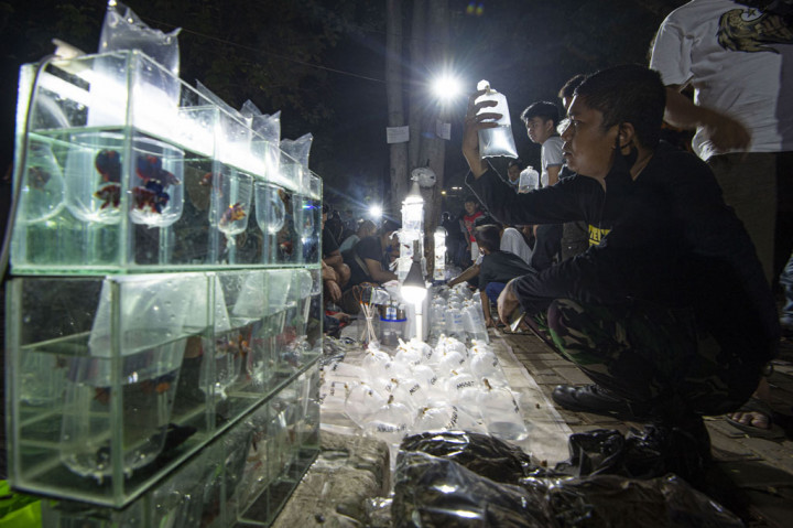 Lapangan parkir Pasar Ikan Hias Jatinegara, Jakarta, dipenuhi manusia pada Minggu, 13 September 2020 jelang tengah malam atau beberapa menit menjelang pemberlakukan kembali Pembatasan Sosial Berskala Besar (PSBB) DKI Jakarta guna mencegah penyebaran virus korona.