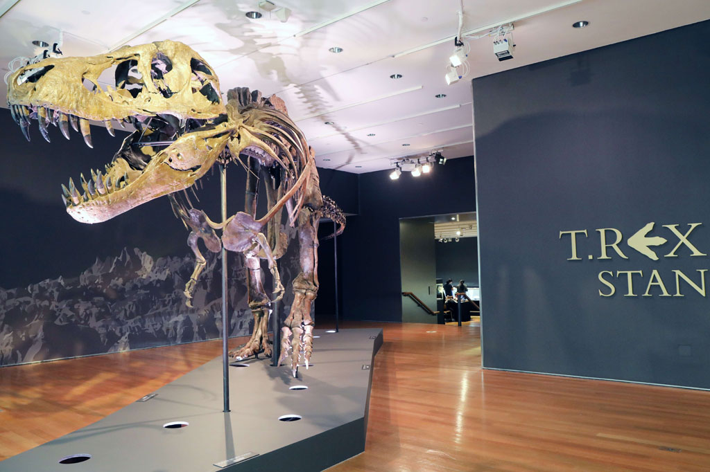 Tawaran mencapai angka USD9 juta dalam waktu kurang dari dua menit setelah dimulainya pelelangan, tetapi setelah 14 menit hanya ada tiga penawar yang tersisa. Sampai kemudian palu diletuk pada tawaran sebesar USD27,5 juta, yang ditambah dengan biaya dan komisi.