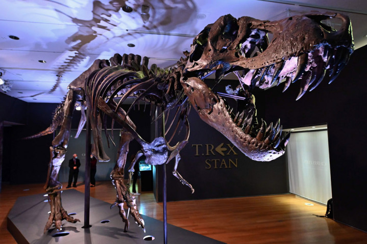 Rekor sebelumnya dibuat oleh spesimen bernama Sue yang dijual seharga USD8,4 juta (Rp123 miliar) pada Oktober 1997 oleh Sotheby's kepada Field Museum of Natural History di Chicago.