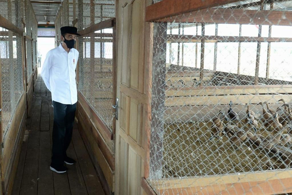 Presiden menekankan bahwa dibutuhkan mekanisasi alat-alat modern untuk dapat mencapai kecepatan yang diinginkan. Menurut Jokowi, food estate itu tidak hanya ditanami padi.