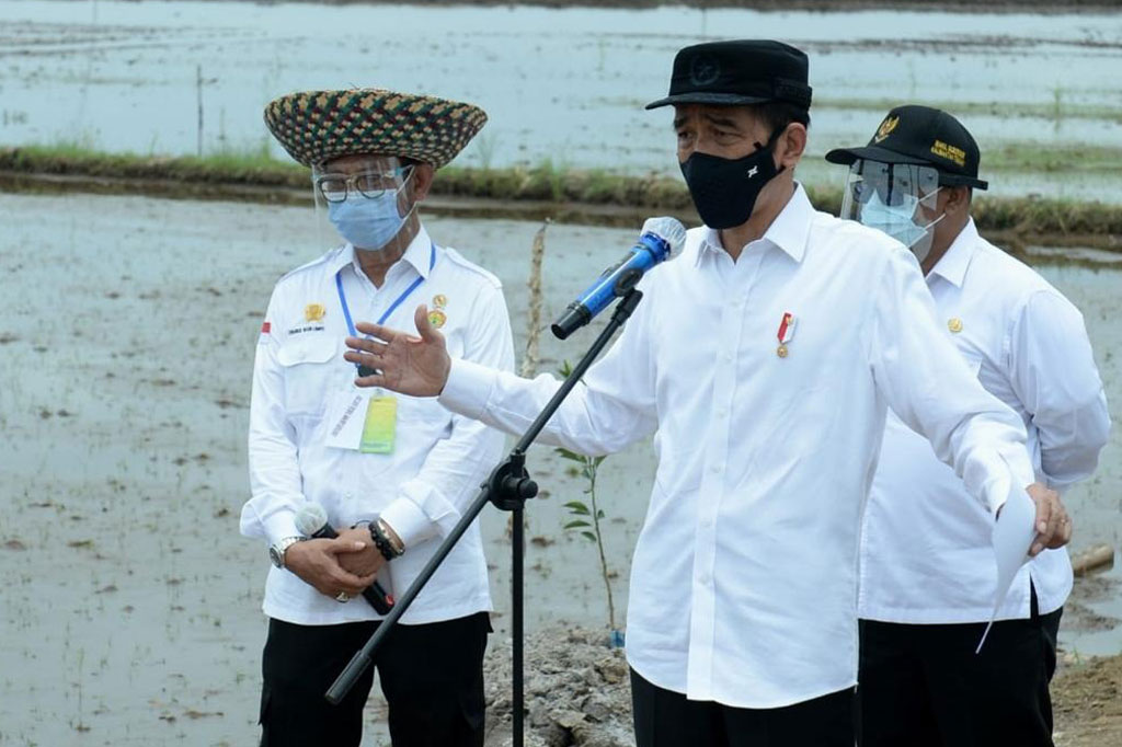 Presiden Joko Widodo (Jokowi) mengatakan ada lahan seluas 30 ribu hektare yang akan digarap menjadi 'food estate' atau lumbung pangan di dua kabupaten di Kalimantan Tengah (Kalteng).