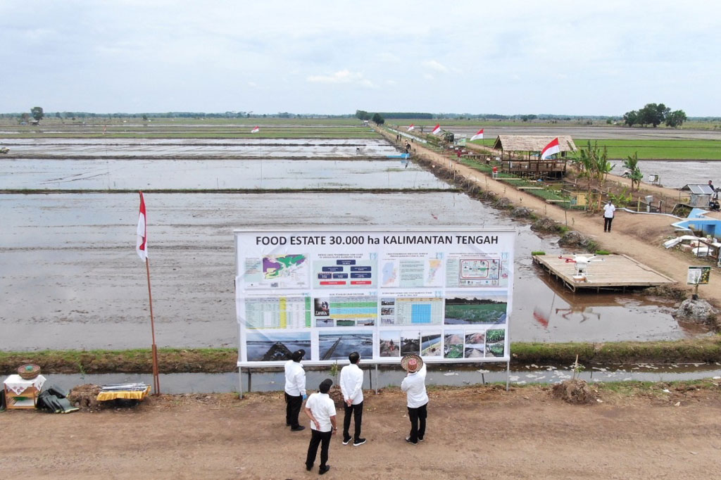Jokowi meninjau lumbung pangan berikut penanaman padi, keramba ikan, serta peternakan bebek, yang terletak di Kecamatan Pandih Batu dengan didampingi Kepala Staf Kepresidenan Moeldoko, Menteri Pertanian Syahrul Yasin Limpo, dan pejabat terkait lainnya.
