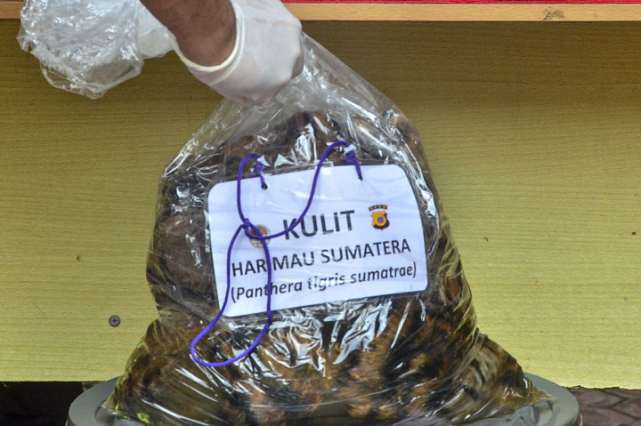 Kejari Aceh Timur menyerahkan barang bukti berupa kulit harimau, taring harimau, taring beruang madu, dan 20 kuku beruang madu hasil kejahatan perdagangan satwa dilindungi kepada Balai Konservasi Sumber Daya Alam (BKSDA) Aceh.