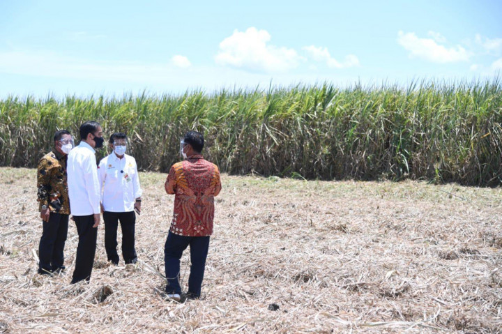 Presiden Jokowi didampingi oleh Menteri Pertanian Syahrul Yasin Limpo, Menteri Perindustrian Agus Gumiwang Kartasasmita, Sekretaris Kabinet Pramono Anung, dan Gubernur Sulawesi Tenggara Ali Mazi terlebih dahulu meninjau lokasi panen tebu, pabrik gula, serta gudang penyimpanan yang berada di areal pabrik terintegrasi.