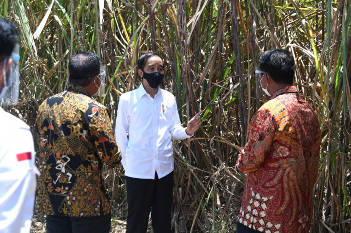 Kebun dan pabrik gula itu, kata Jokowi, dapat menyerap maksimal 15.000 tenaga kerja. Jokowi menilai hal tersebut menjadi poin yang paling penting terutama di masa pandemi Covid-19. Untuk itu, Presiden mengapresiasi langkah PT Prima Alam Gemilang tersebut.