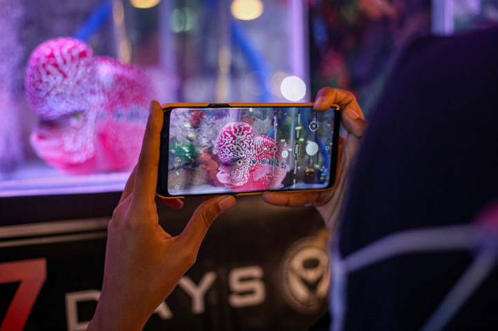 Pengunjung mengambil gambar ikan Louhan yang dikonteskan pada Liga Louhan Nasional di Mal Tangcity, Kota Tangerang, Banten.