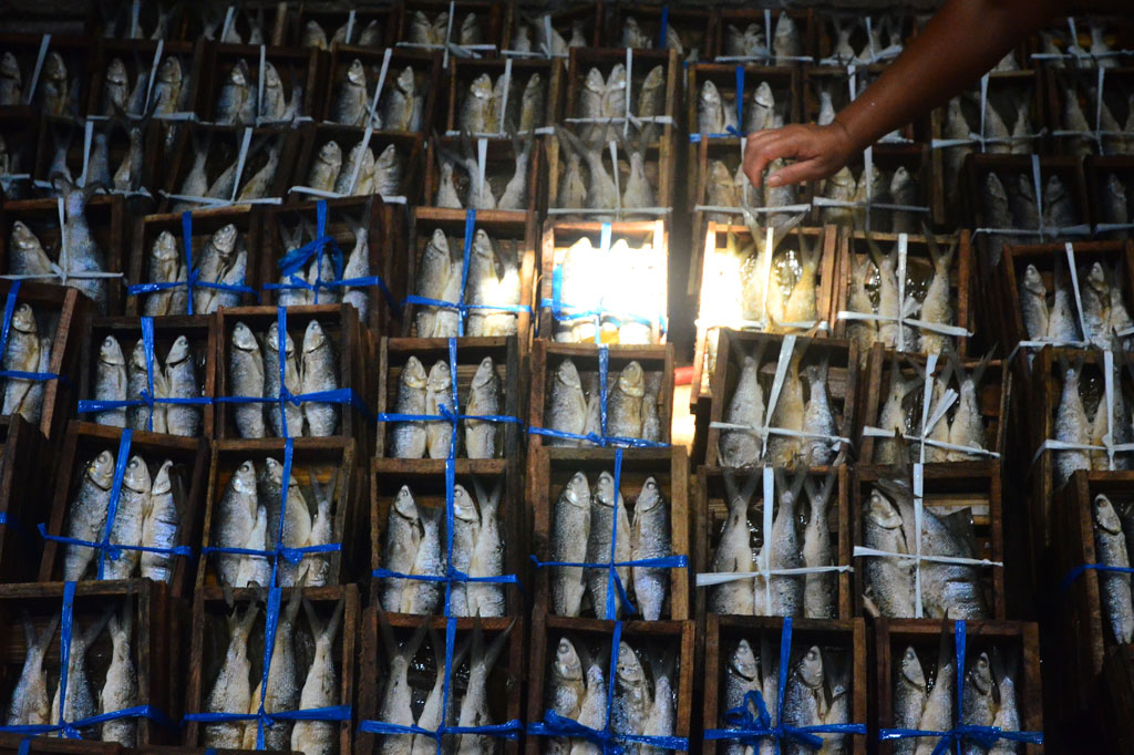 Berbagai upaya pemerintah kabupaten setempat untuk memajukan Usaha Pengolahan Ikan (UPI) yaitu dengan memberikan pembinaan dan pelatihan cara pengolahan ikan yang baik dan benar kepada kelompok pengolah dan pemasar ikan terutama pengolah bandeng presto.