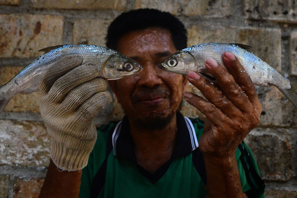Pemerintah setempat berharap pengolahan ikan Bandeng Presto di Juwana tidak hanya berproduksi skala rumah tangga saja tetapi berkembang menjadi berproduksi skala industri di masa mendatang, karena keberadaan Usaha Pengolahan Ikan (UPI) itu banyak menyerap tenaga kerja serta mampu mendongkrak perekonomian warga menjadi semakin baik.
