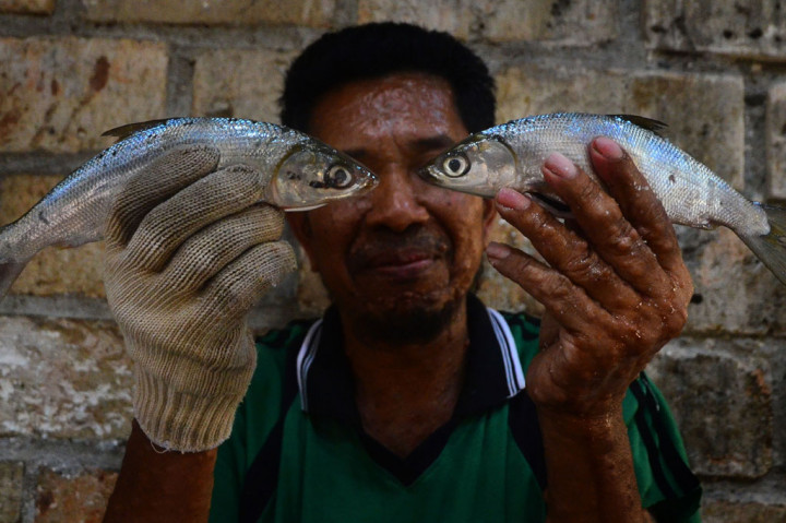 Pemerintah setempat berharap pengolahan ikan Bandeng Presto di Juwana tidak hanya berproduksi skala rumah tangga saja tetapi berkembang menjadi berproduksi skala industri di masa mendatang, karena keberadaan Usaha Pengolahan Ikan (UPI) itu banyak menyerap tenaga kerja serta mampu mendongkrak perekonomian warga menjadi semakin baik.