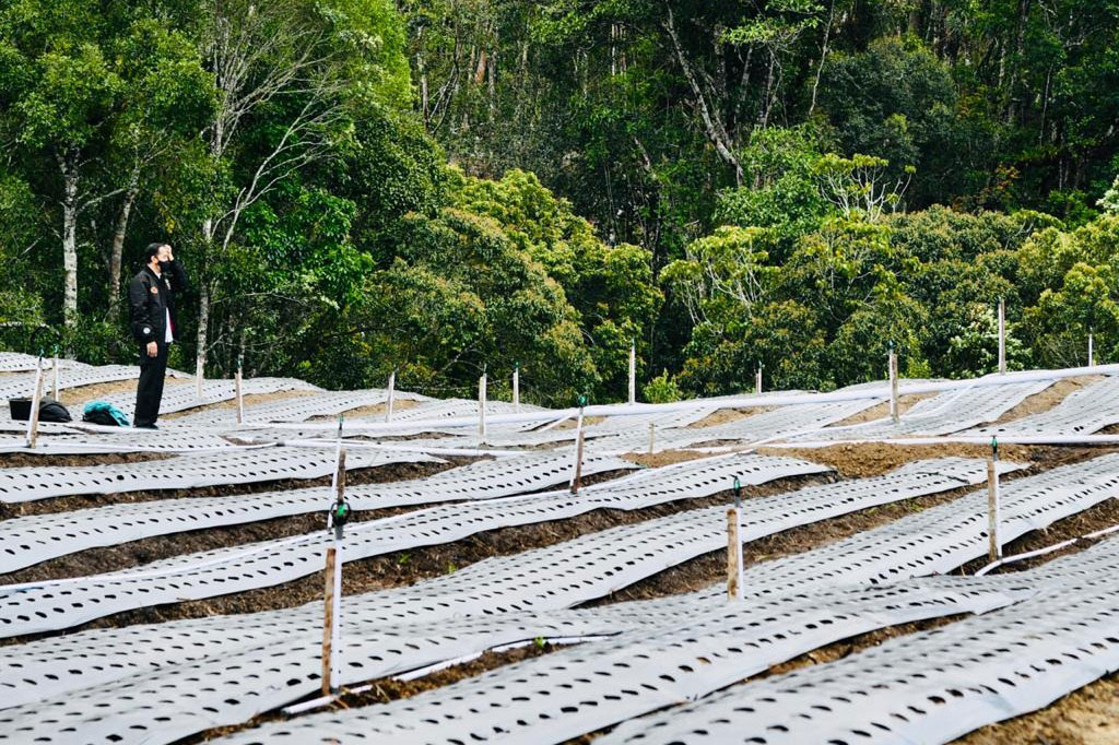 Presiden mengatakan Indonesia memiliki dua provinsi yang akan dipakai memulai program lumbung pangan yakni di Sumut dan Kalimantan Tengah.