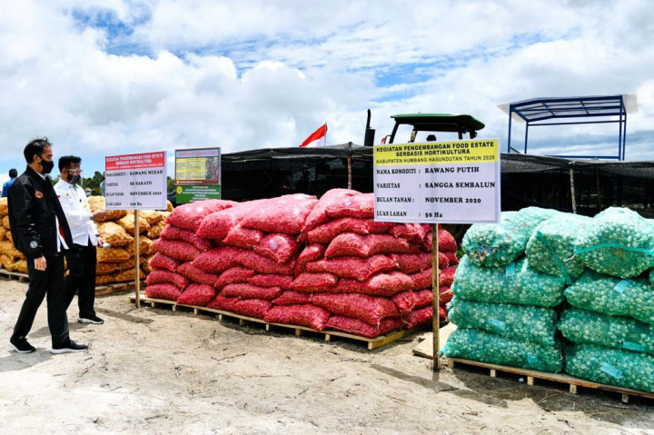 Jokowi menjelaskan food estate di Kabupaten Humbahas dan beberapa wilayah lainnya di Sumut akan menghasilkan komoditas pangan kentang, bawang merah, dan bawang putih. 