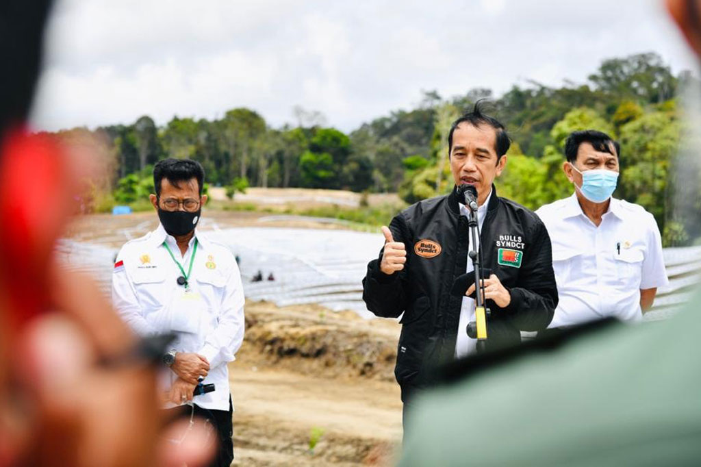 Lahan di Sumut yang akan digunakan sebagai lumbung pangan tersebar di beberapa kabupaten yakni di Kabupaten Humbang Hasundutan, Kabupaten Tapanuli Utara, Kabupaten Tapanuli Tengah dan Kabupaten Pakpak Bharat. 